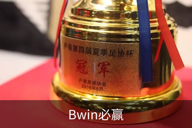 Bwin必赢团队与业务介绍